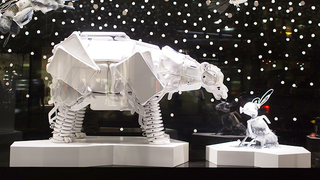 Shop window displays that should be in a museum
